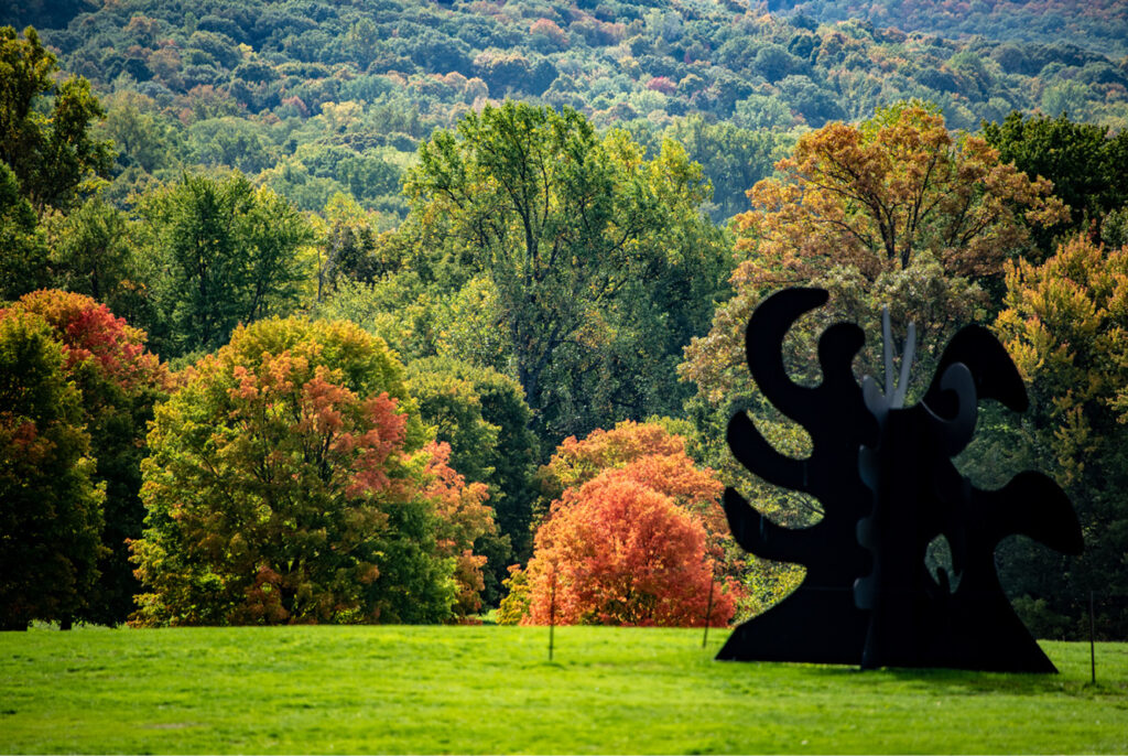 The grounds at Storm King