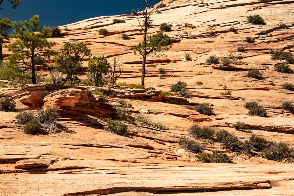 Horizontal rock slabs comprise these hills along the Zion Park Scenic Byway